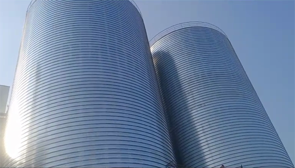 六安2座混凝土高架卷板仓